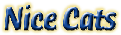 Nice Cats logo for Playstation